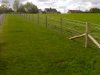 Agricultural fencing: image 4 of 5