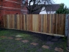 Domestic fencing: image 3 of 4