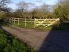 Equestrian fencing: image 2 of 5