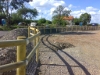 Equestrian fencing: image 3 of 5
